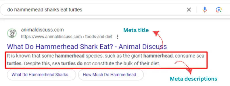 Meta Title and Meta Description